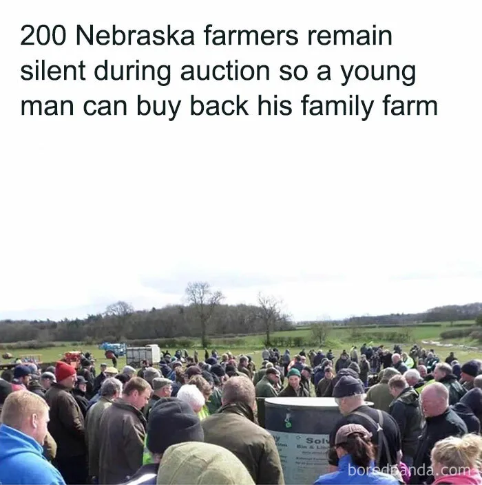 ‘Wait… This Is Wholesome’: 37 Posts To Look At If You’re Feeling Blue (New Pics)