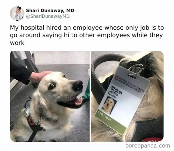 ‘Wait… This Is Wholesome’: 37 Posts To Look At If You’re Feeling Blue (New Pics)
