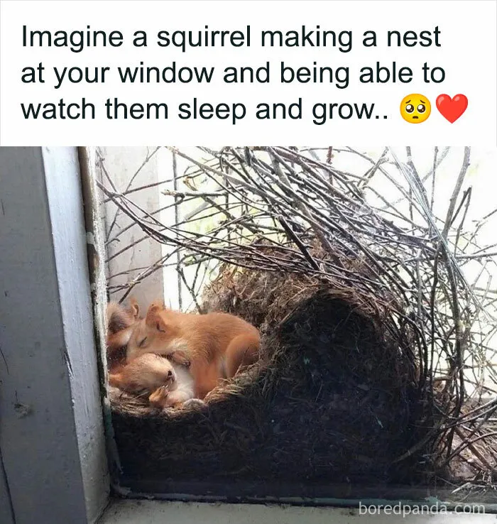 ‘Wait… This Is Wholesome’: 37 Posts To Look At If You’re Feeling Blue (New Pics)