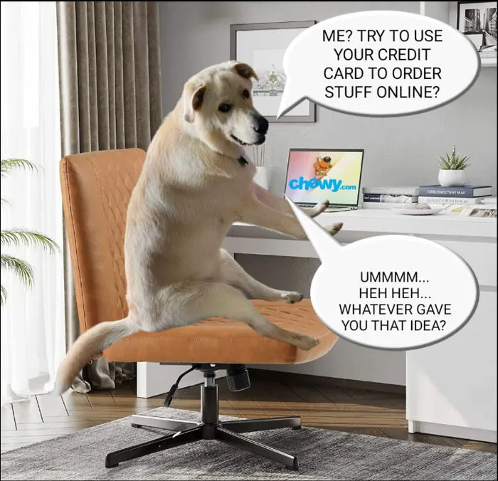 Guy Catches His Doggo Sitting Like A Person, Posts Pic Online, Gets These 29 Edits In Return