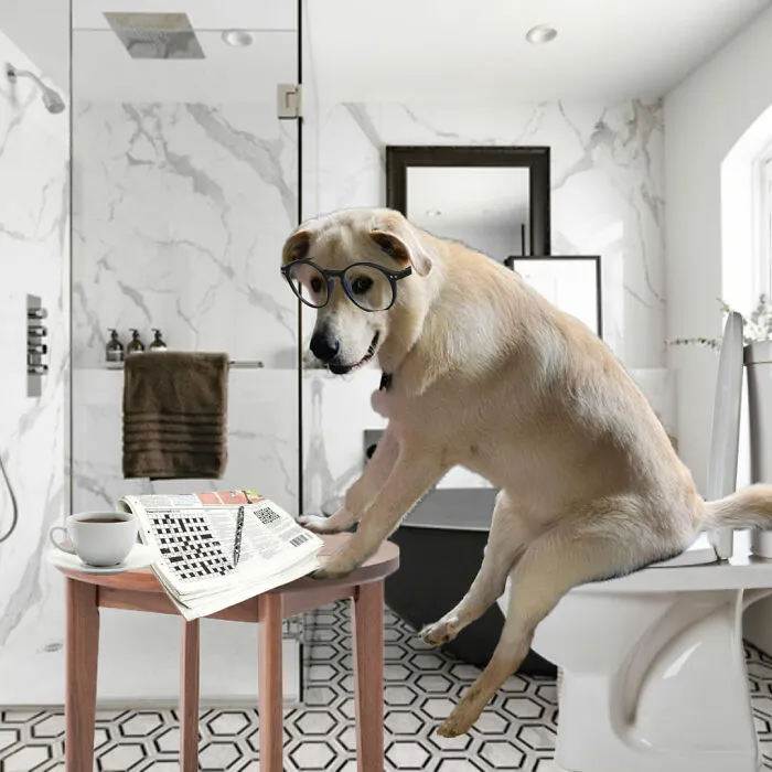 Guy Catches His Doggo Sitting Like A Person, Posts Pic Online, Gets These 29 Edits In Return