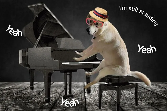 Guy Catches His Doggo Sitting Like A Person, Posts Pic Online, Gets These 29 Edits In Return