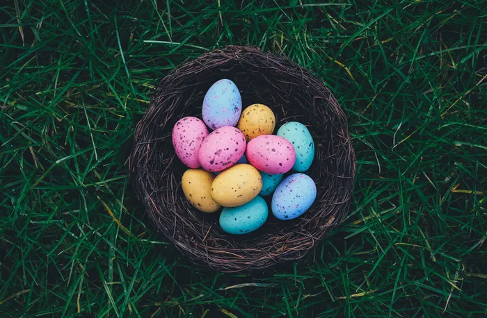 75 Spring Trivia Questions (With Answers) To Welcome The Season Of Rebirth
