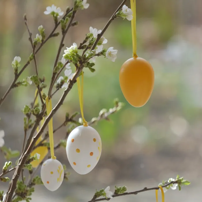 Easter eggs hanging on the blooming branches 