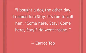 Stand-up Comedy Jokes For Comedians By Comedians That Don’t Disappoint
