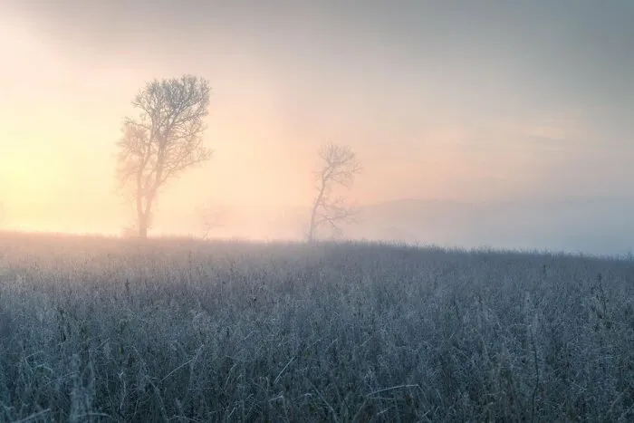 The Sunlight Slowly Making It's Way Through Thick Fog In Southern Germany