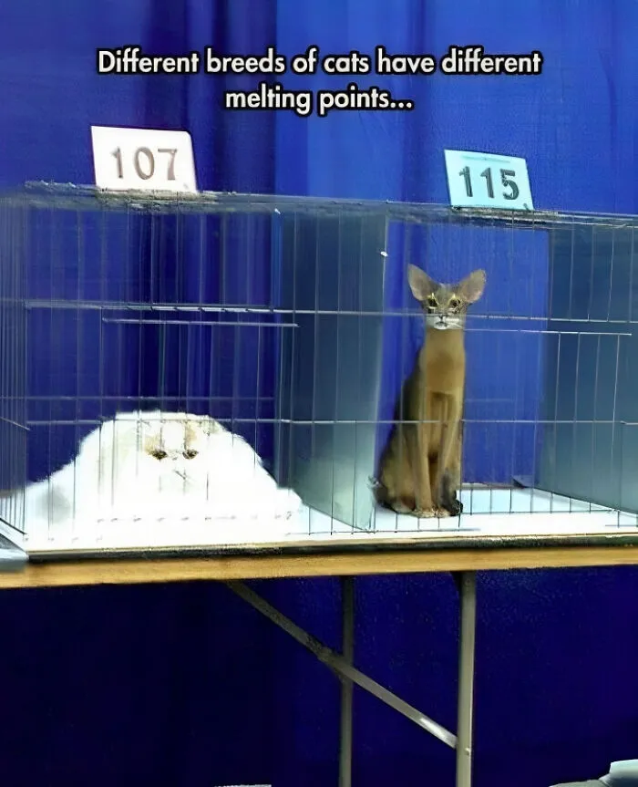This Online Page Explores “The Darker Side Of Science”, And Here Are 40 Of Their Funniest Posts (New Pics)