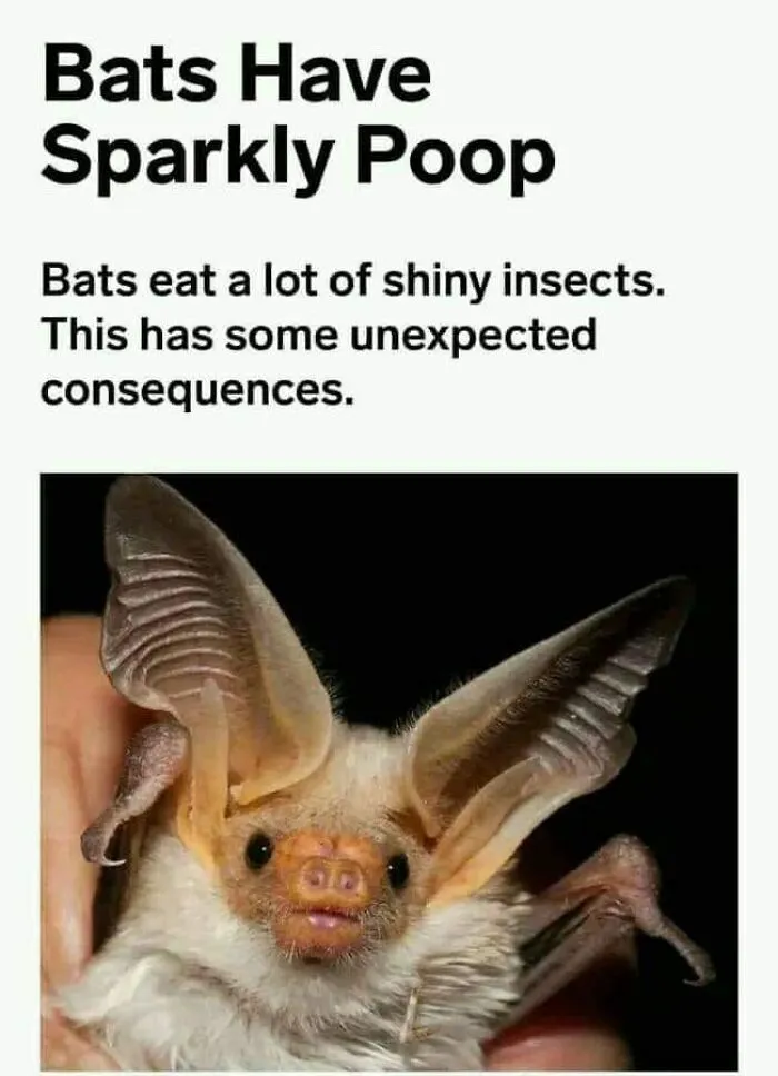 This Online Page Explores “The Darker Side Of Science”, And Here Are 40 Of Their Funniest Posts (New Pics)