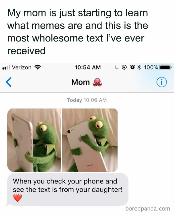 Not All Who Meme Are Lost