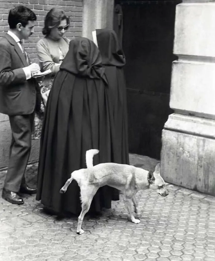 This Instagram Account Continues To Share Highly Amusing Street Photos; Here Are Their 49 Newest Ones