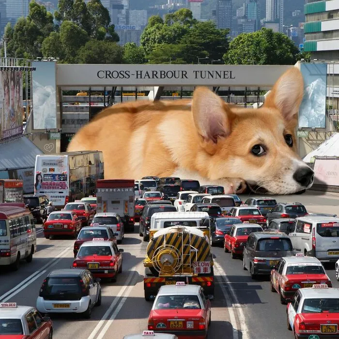 This Artist Reimagined Hong Kong With Giant Animal Residents In His Surreal Depictions (30 Pics)