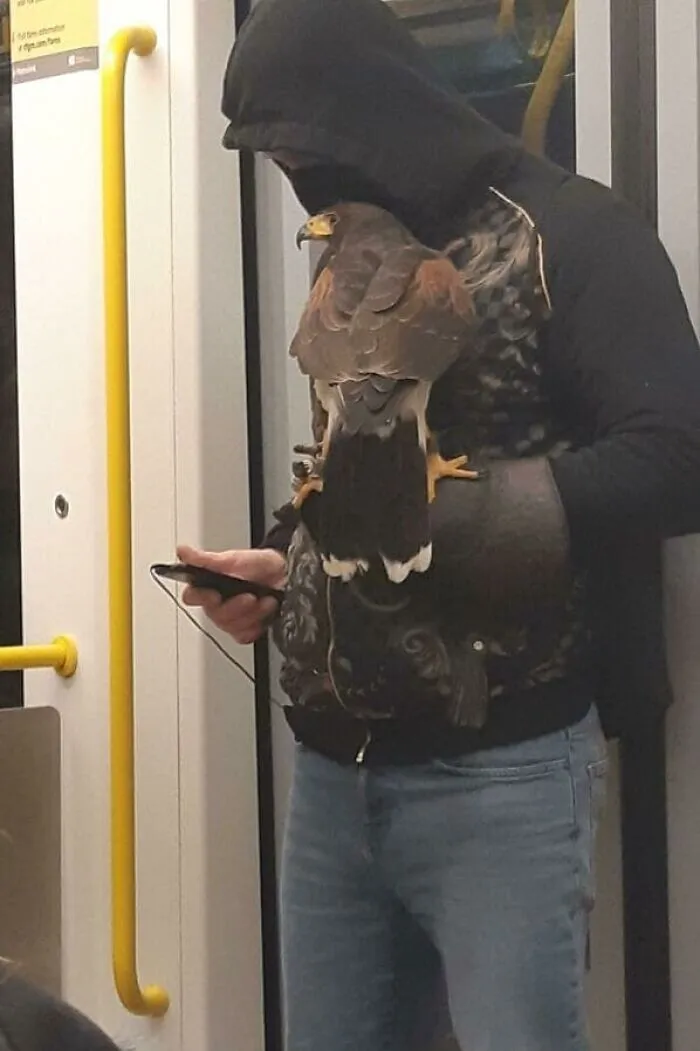 37 Cosas curiosas y divertidas vistas en el metro (Nuevas imágenes)