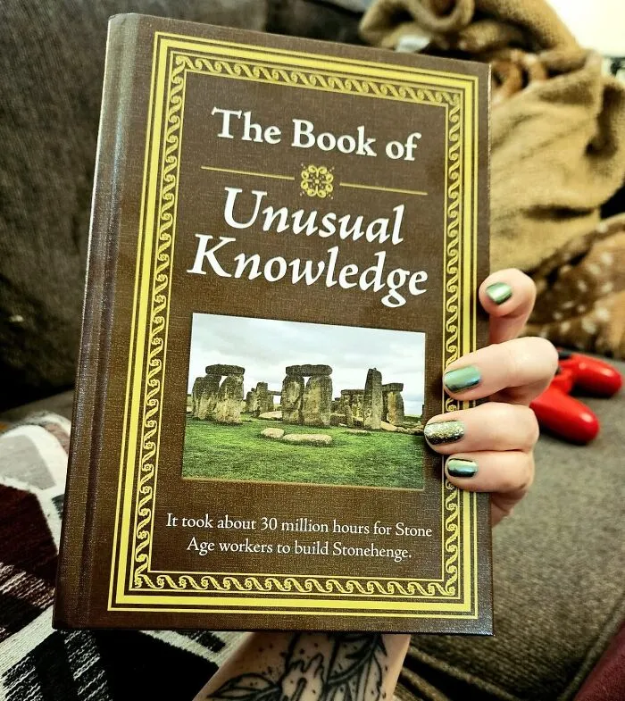 Unleash A World Of Fascinating Facts And Trivia With The Intriguing <a Style="Display:inline;" Href="Https://Www.amazon.com/Unusual-Knowledge-Editors-Publications-International/Dp/1450845800?pd_rd_w=7b5kf&content-ID=amzn1.sym.76a0b561-A7b4-41dc-9467-A85a2fa27c1c&pf_rd_p=76a0b561-A7b4-41dc-9467-A85a2fa27c1c&pf_rd_r=a905vzrs4znwmn35bms4&pd_rd_wg=frb69&pd_rd_r=31233808-6c50-4744-B867-F11612640a4a&pd_rd_i=1450845800&psc=1&linkcode=ll1&tag=bpkangaroo-20&linkid=38160dc49e8a8a237cae958503e1a55e&language=en_us&ref_=as_li_ss_tl" Target="_blank"><span Style="Font: Inherit; Color: #d74b1f;"> The Book Of Unusual Knowledge</Span>, A Curious Collector's Item That Will Leave Your Friends Green With Envy