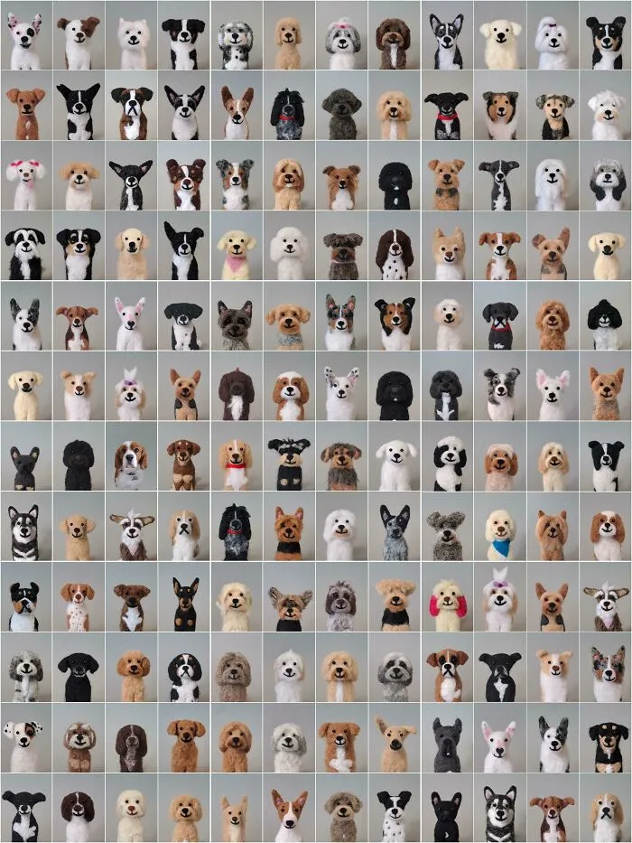 Spot The Real Dog V.2 . Don't Zoom