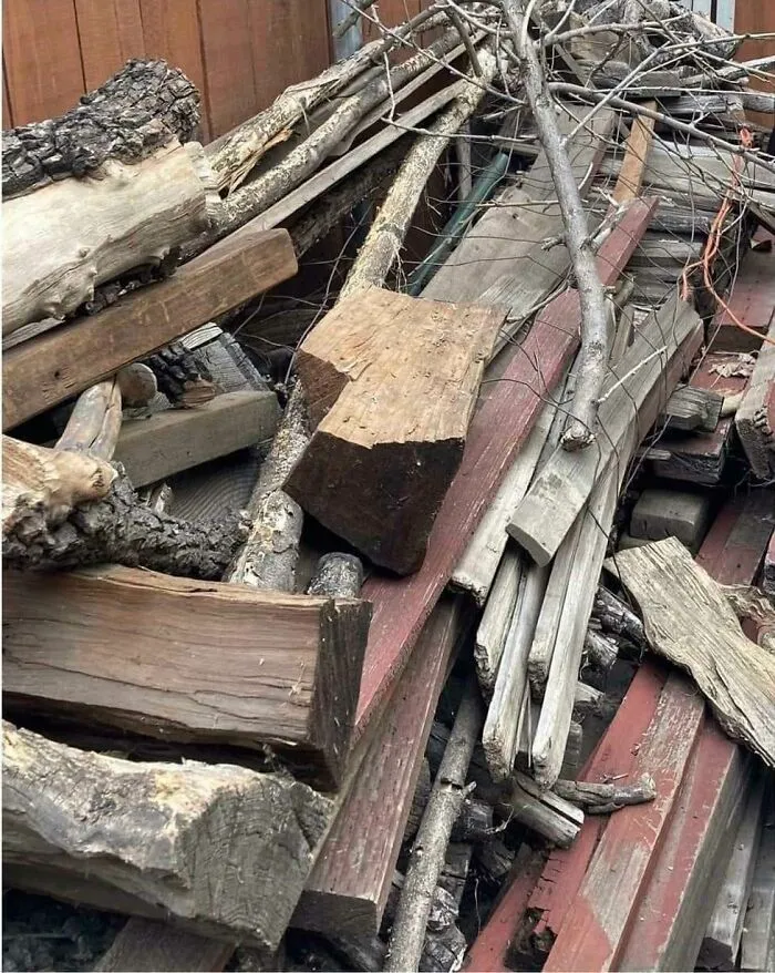 Find The Cat