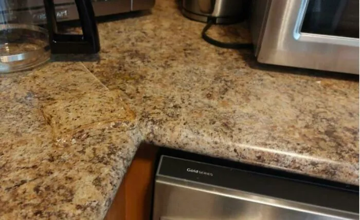 Find The Toast