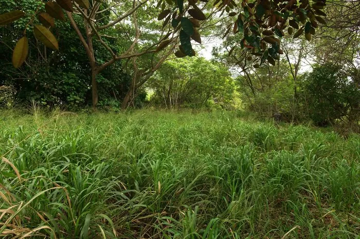 Find The Man In Camo