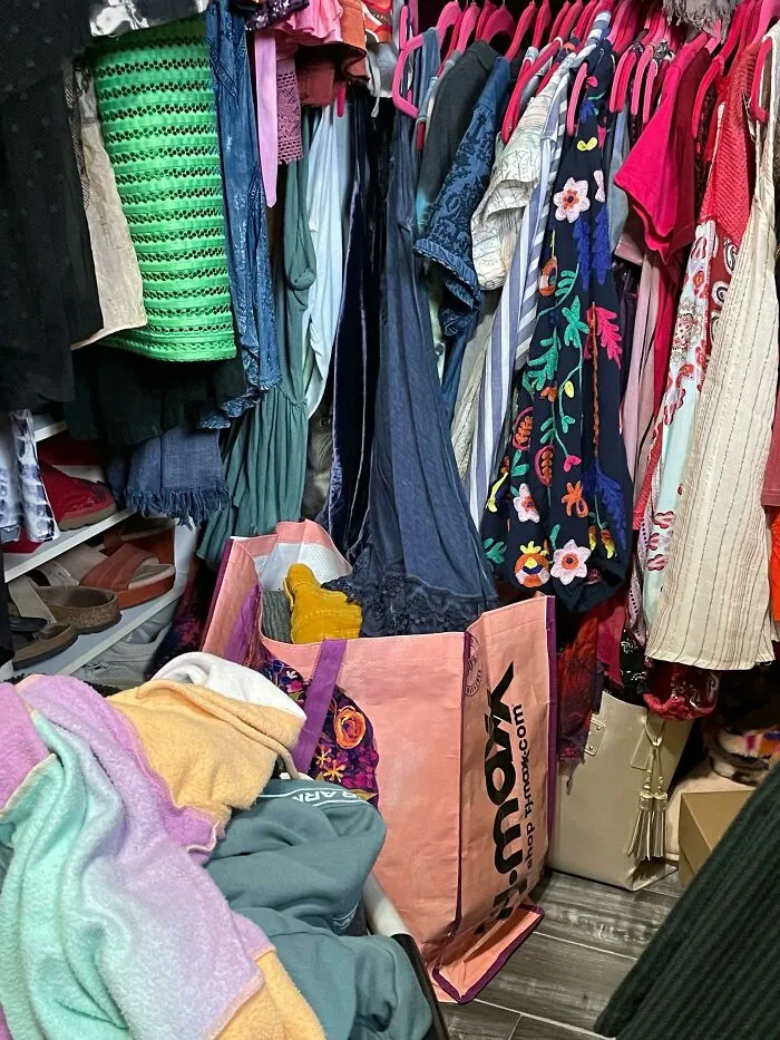 Find The Cat (Easy)