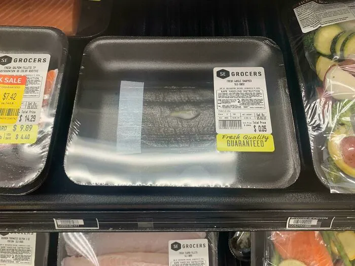Find The Fish (Easy)