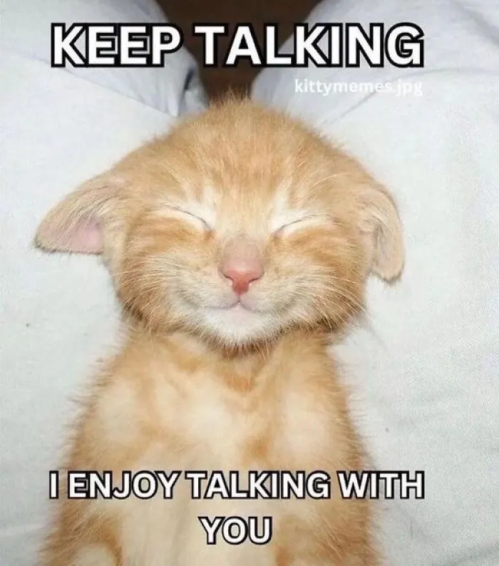 40 Of The Cutest And Most Chaotic Pics From This Twitter Account Dedicated To Cats (New Pics)