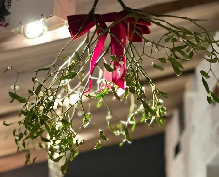 Hang a Mistletoe