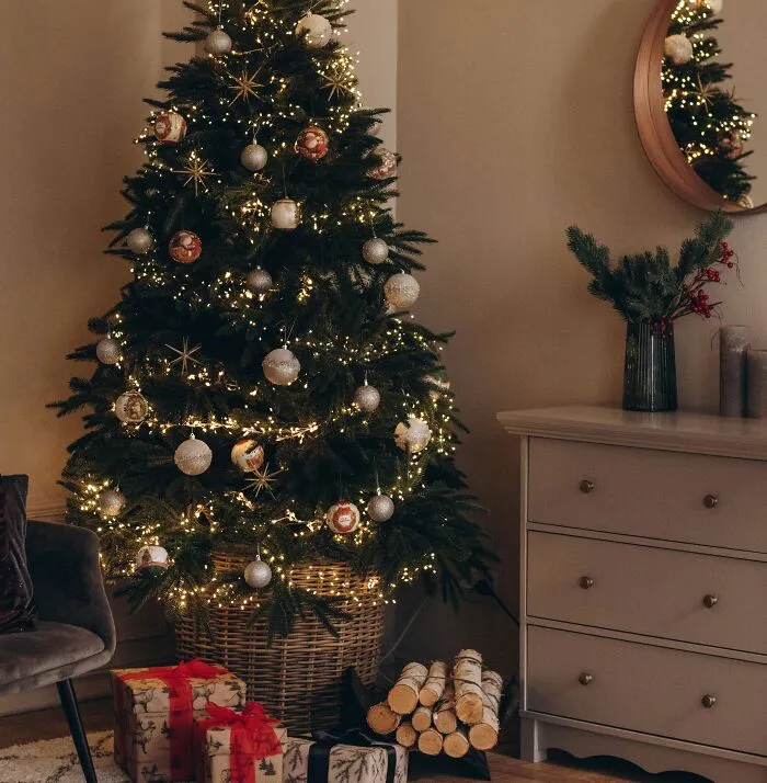 Have A Tauped Christmas This Year
