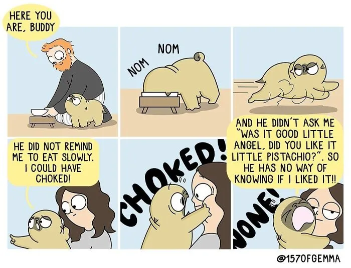 35 Adorable And Funny Comics About An Artist And Her Life With A Cute Pug (New Pics)