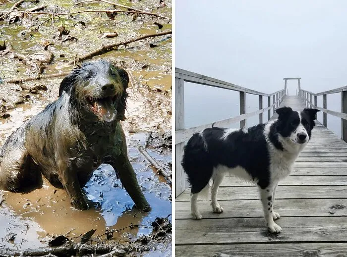 So Pleased With Himself (Second Photo For Comparison)