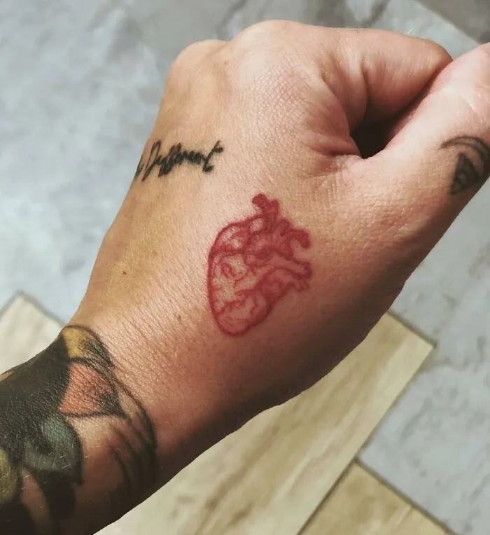 Small hand tattoo featuring a red anatomical heart and black cursive text on wrist.
