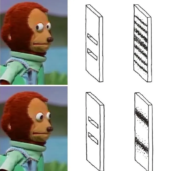 Confused puppet meme alongside a physics diagram illustrating interference patterns.