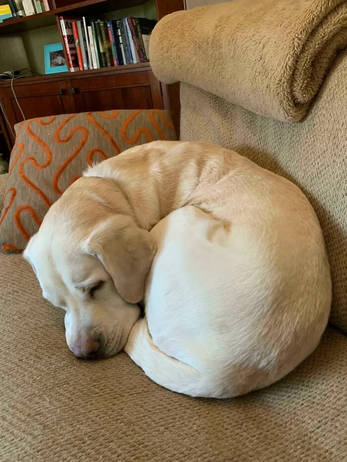 A Circle