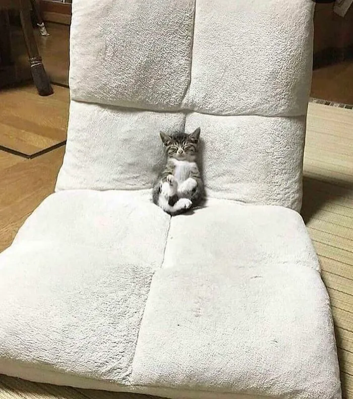 Smol Is Tired