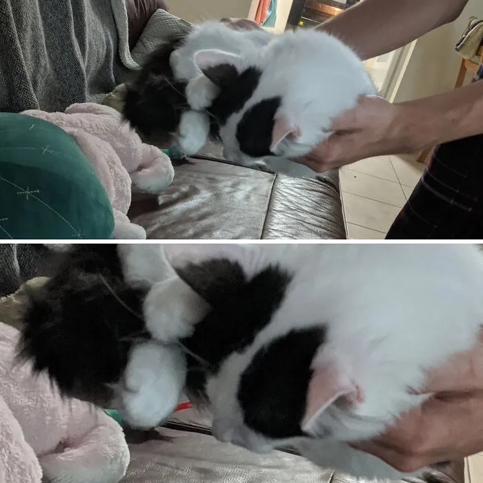 She Was So Sleepy She Didn't Even Wake Up When My Boyfriend Moved Her