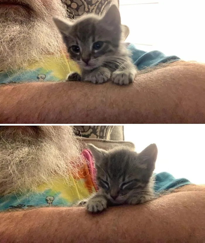 Asleep In 10-Seconds