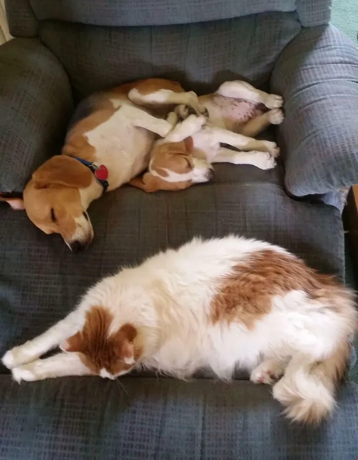 Nap Time