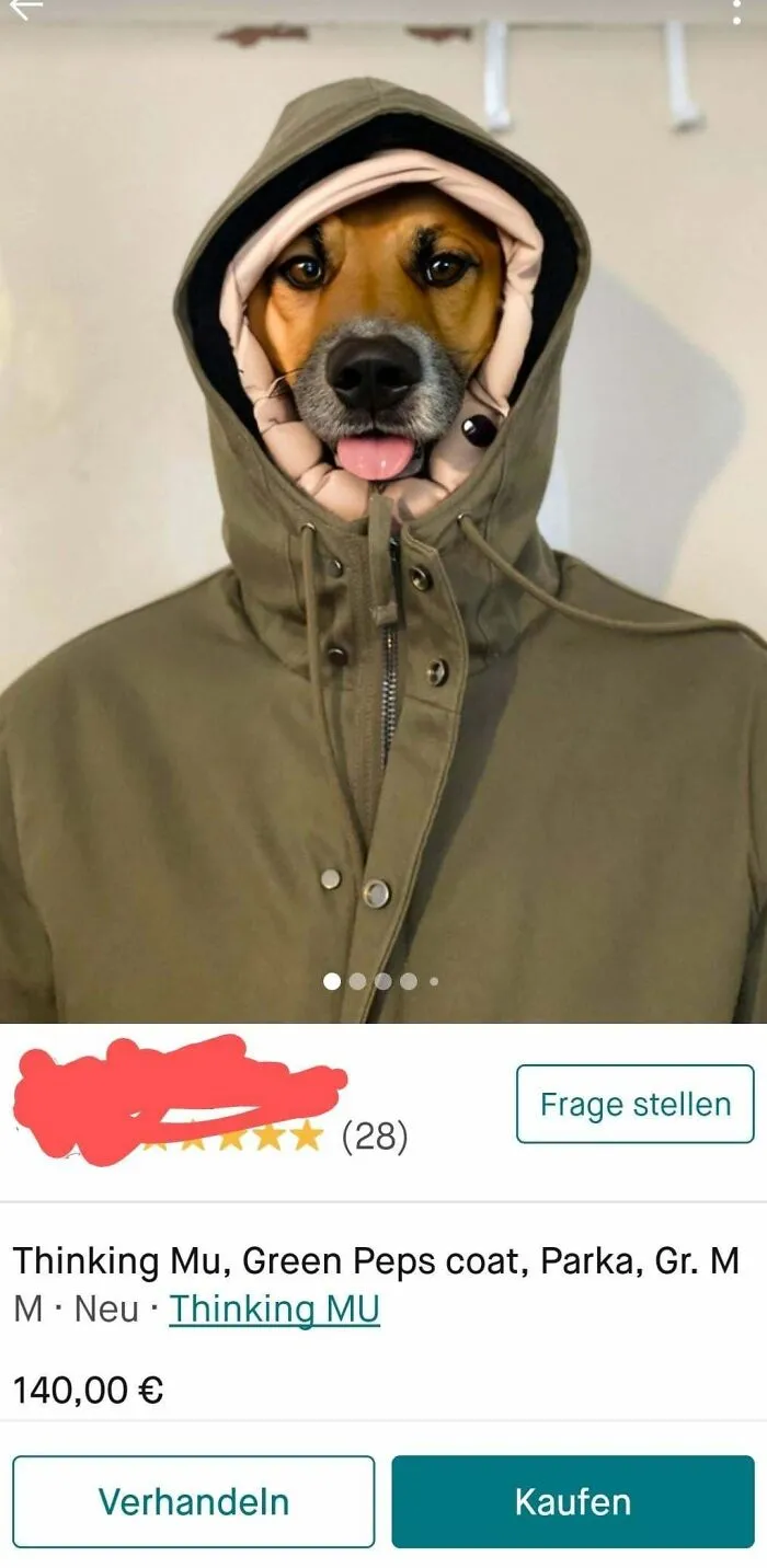 Found This Thing Today (No Personal Info)