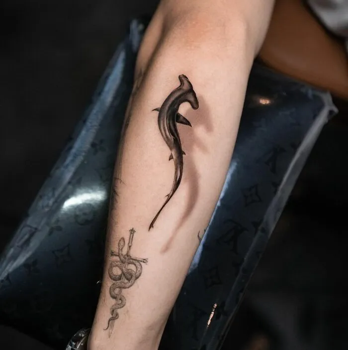 This Shark Looks Insane