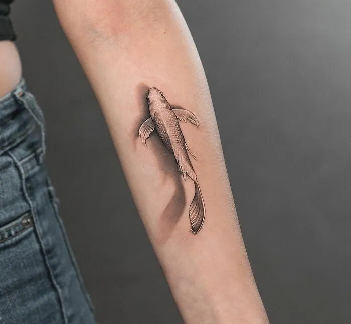 Someone Asked For A Koi Fish