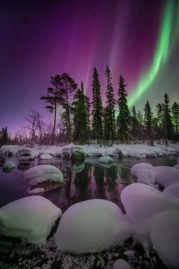 "Beauty Of The North" By Elena Ermolina