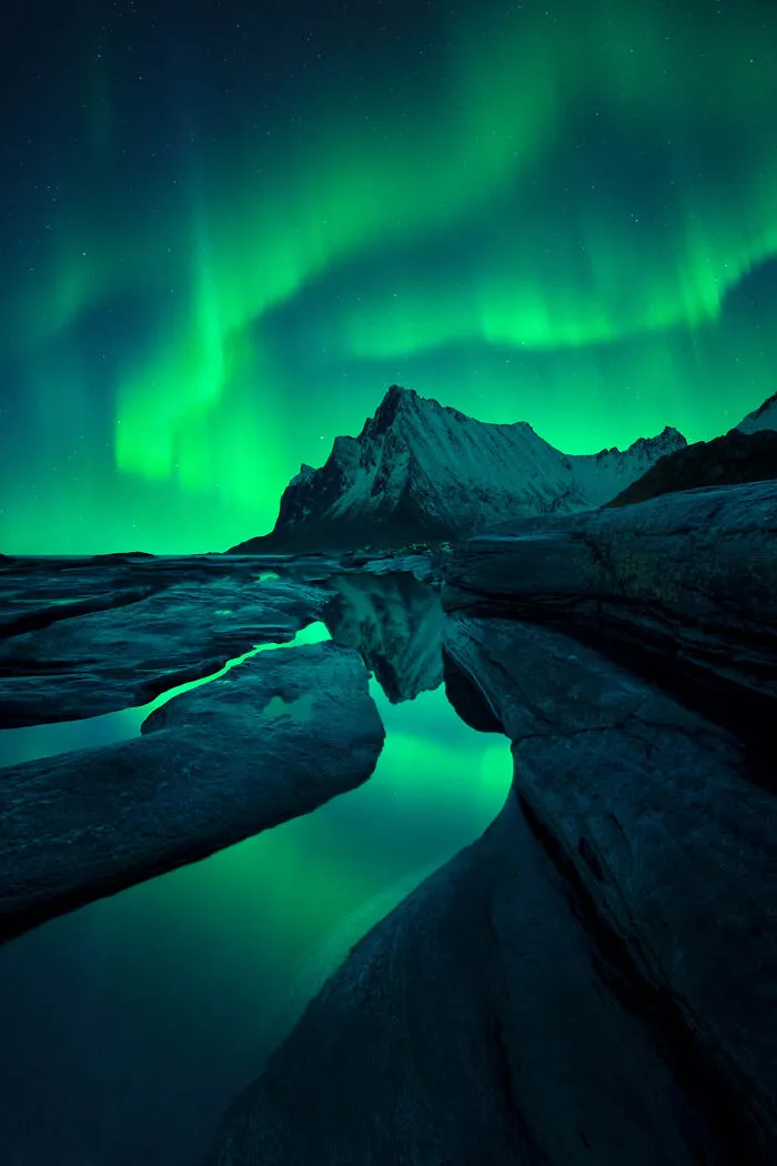 "Green Snakes" By Filip Hrebenda