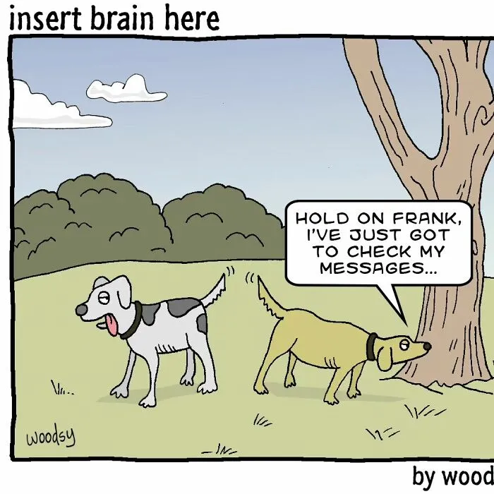 Absurd Situations And Silly Humor: 50 New Comics By Paul Woods
