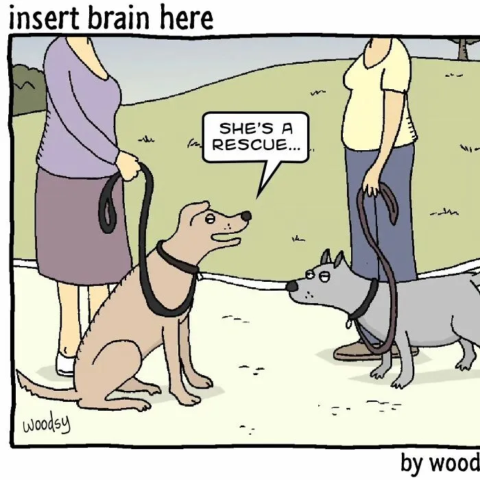 Absurd Situations And Silly Humor: 50 New Comics By Paul Woods