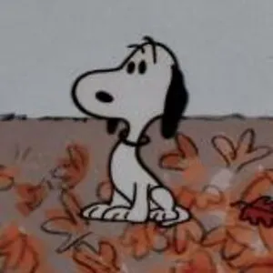 𝓪𝓶𝔂