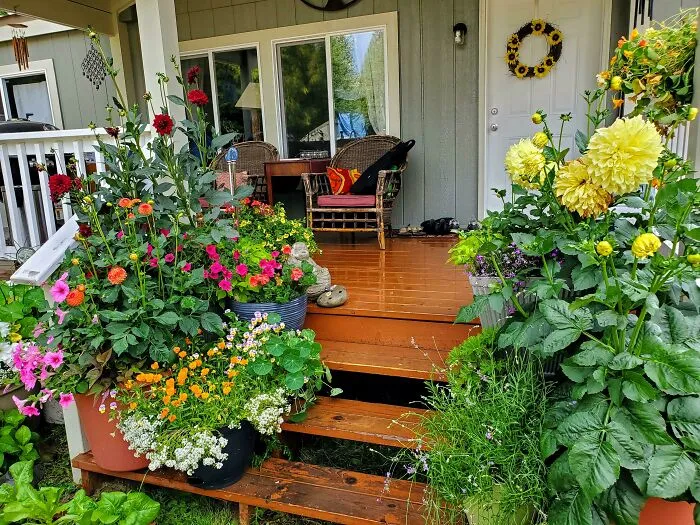 Beautiful Blooms For Backyard Garden Ideas