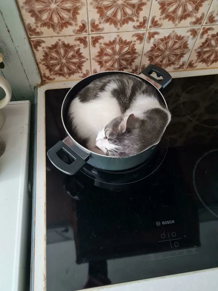 The Perfect Circle