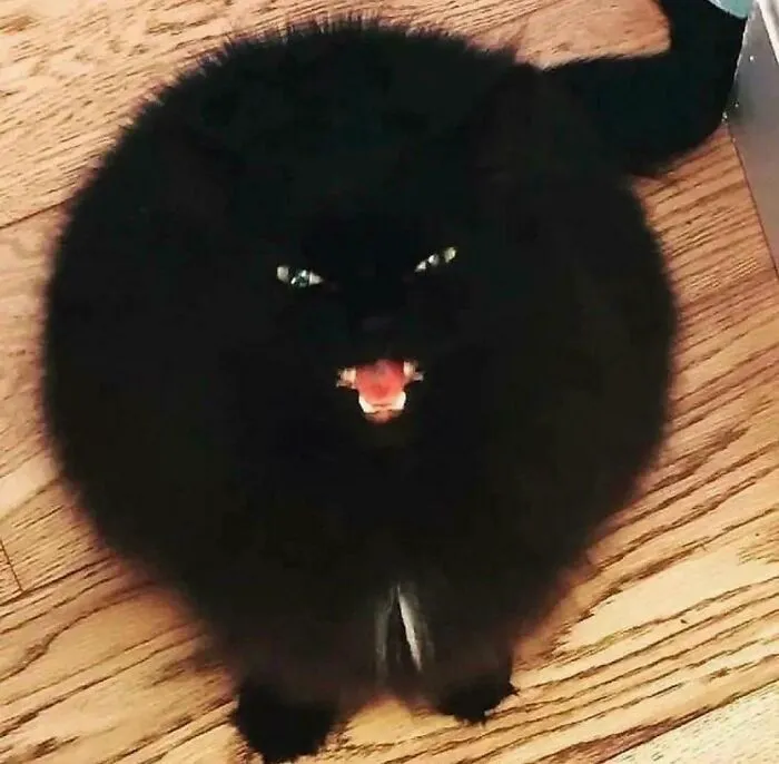 Very Loud And Very Round