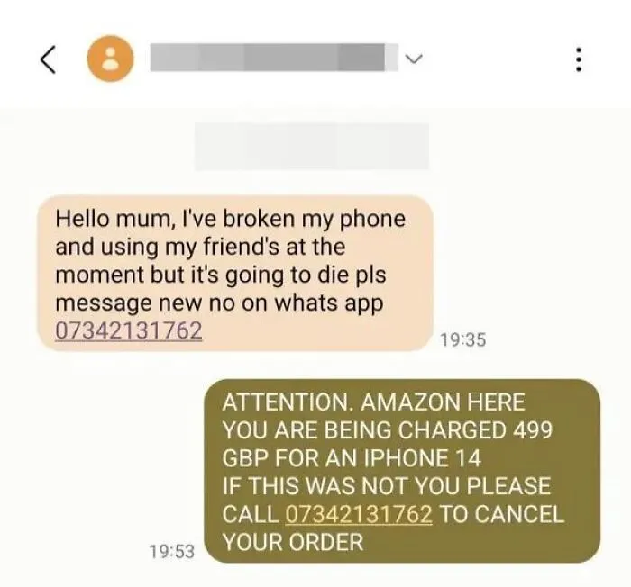 45 Times Scammers Messaged The Wrong Person And Got Hilariously Owned (New Pics)
