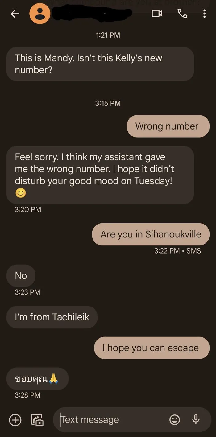 Being Nice To The Scammers
