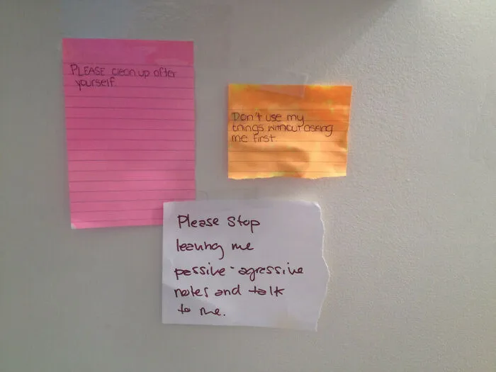 Roommate Issues