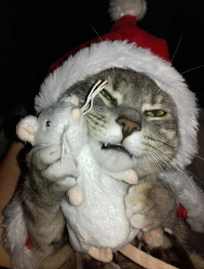 Christmas Mouse Trap